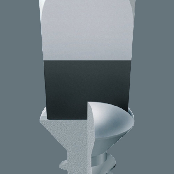 Afbeelding - https-www-ez-catalog-nl-Asset-b2e121488b464129a30c7e2b53e85efe-ImageFullSize-black-point-spitze-jpg